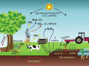 The-main-greenhouse-gas-emission-sources-removals-and-processes-in-managed-ecosystems