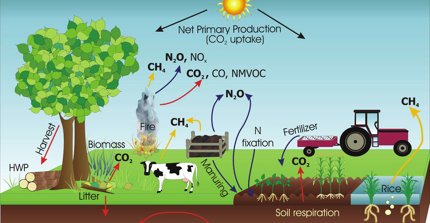 The-main-greenhouse-gas-emission-sources-removals-and-processes-in-managed-ecosystems